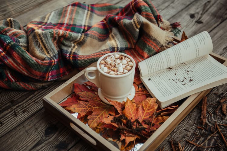 5 Chic Dog-Friendly Hotels in California for the Fall