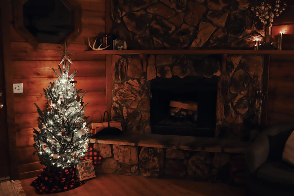 7 Cozy Dog-Friendly Hotels in California for the Holidays